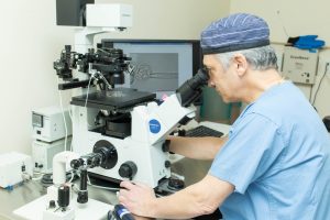 Dr. Blotner in the IVF laboratory